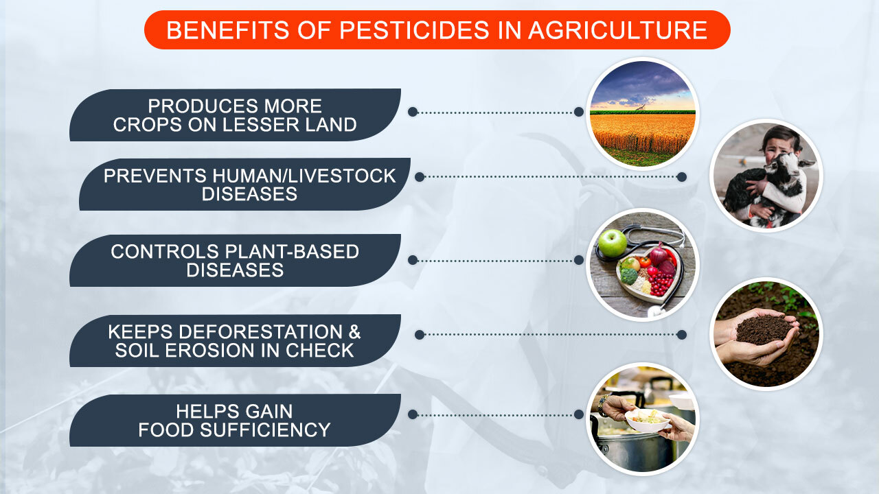 The importance of Pesticides(1).jpg